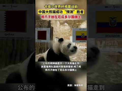 万用户申请,全国数码新,品购新补贴,亚博体育,亚博体育官网,亚博体育app,亚博体育下载