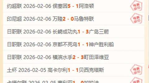 多特蒙德迎战葡萄牙体育欧冠前瞻：关键球员回归，多特战力增强